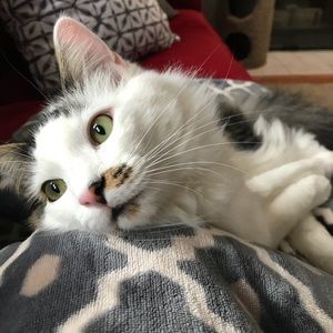 Meet your Posher, Cheryl